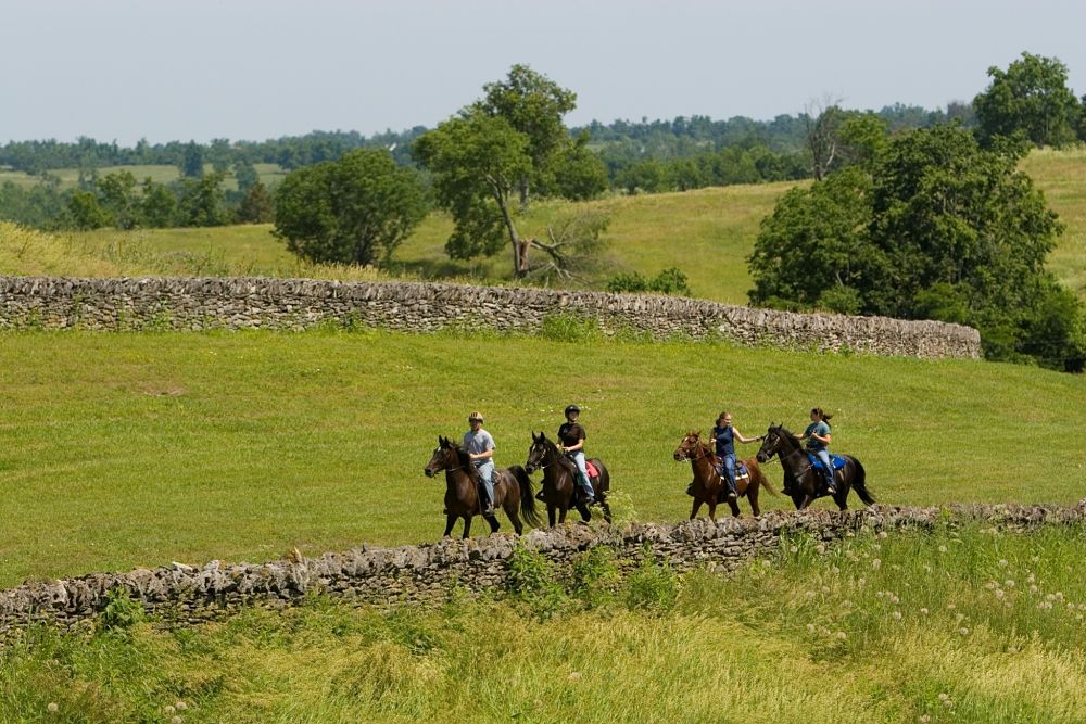 people riding horses