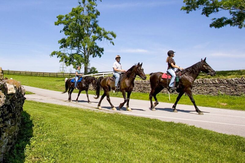 People riding horses